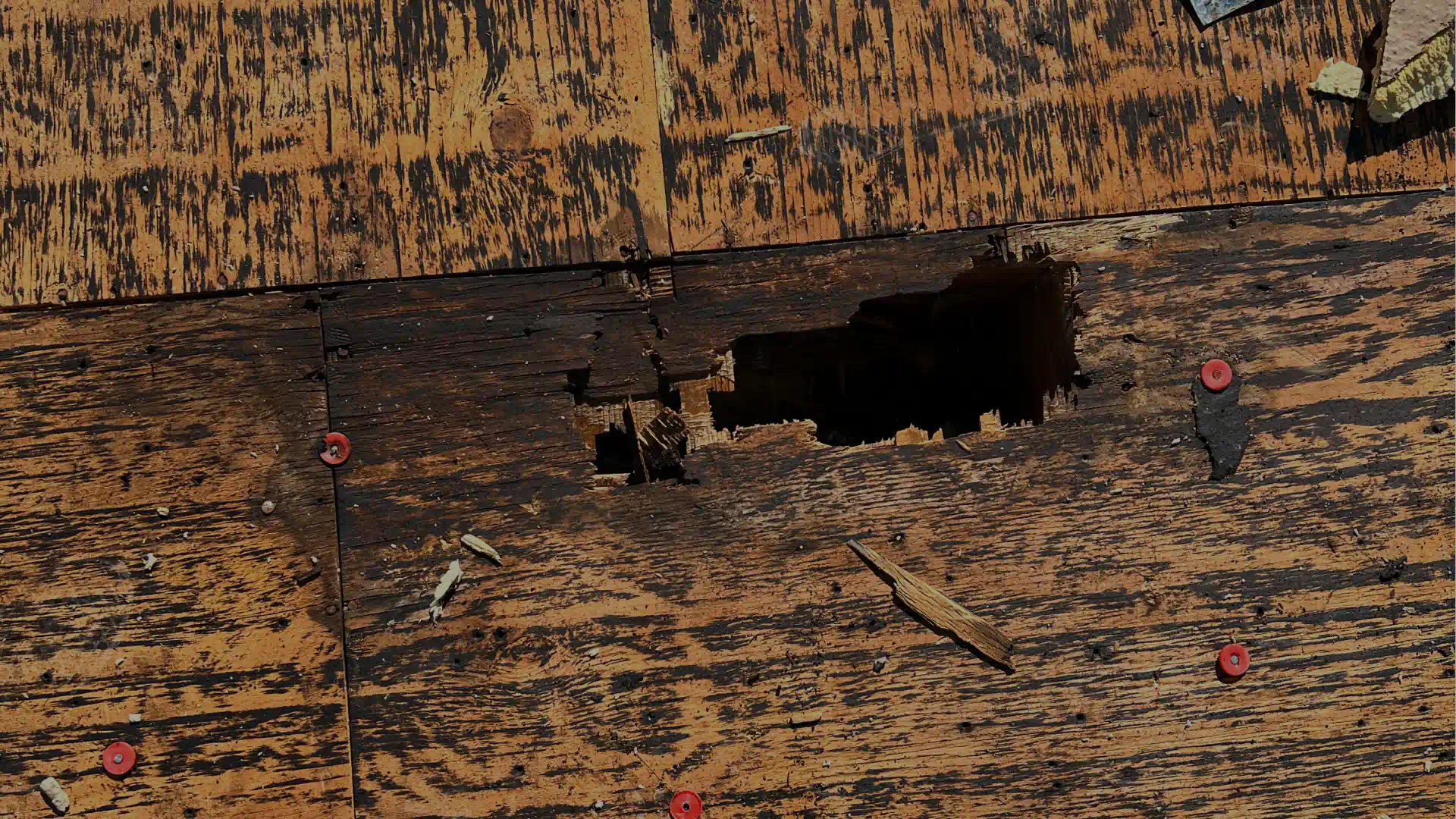 roof damage repair (1)